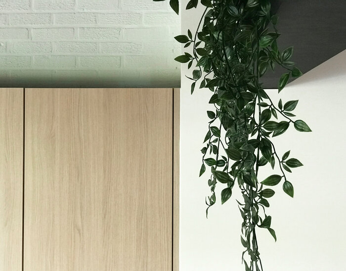 Voorbeeld interieur - kast met planten